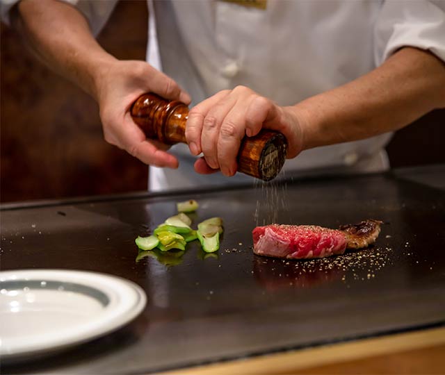 Cocción industrial planchas de cocina